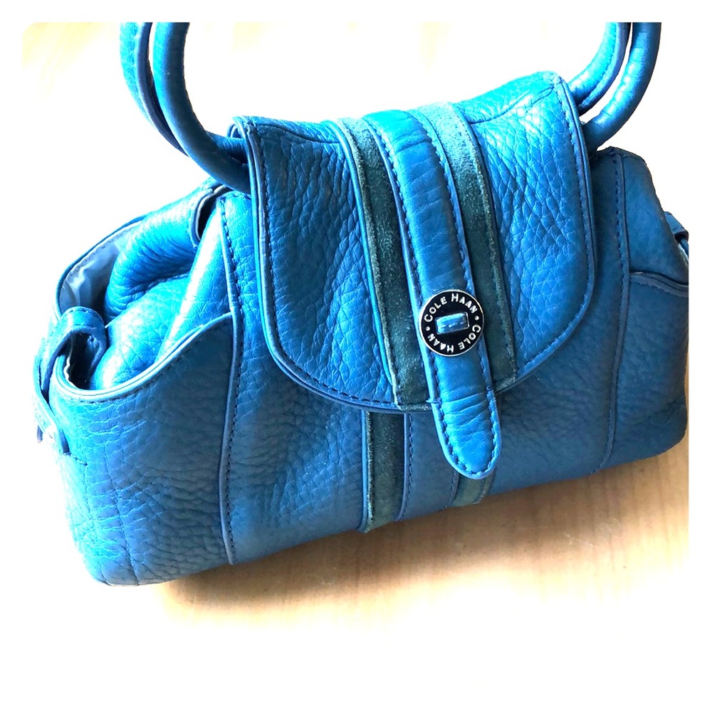 Cole Haan Blue Mini Bag